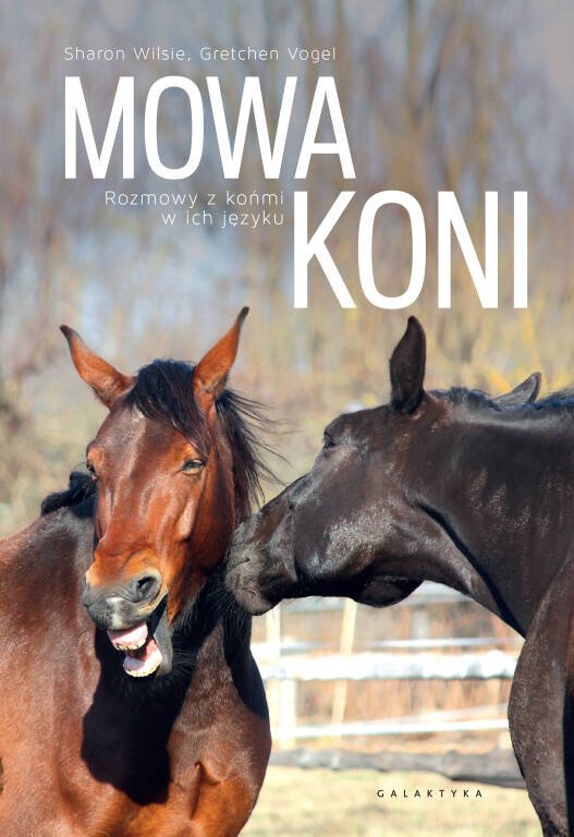 Mowa koni_Smart Rider.jpeg