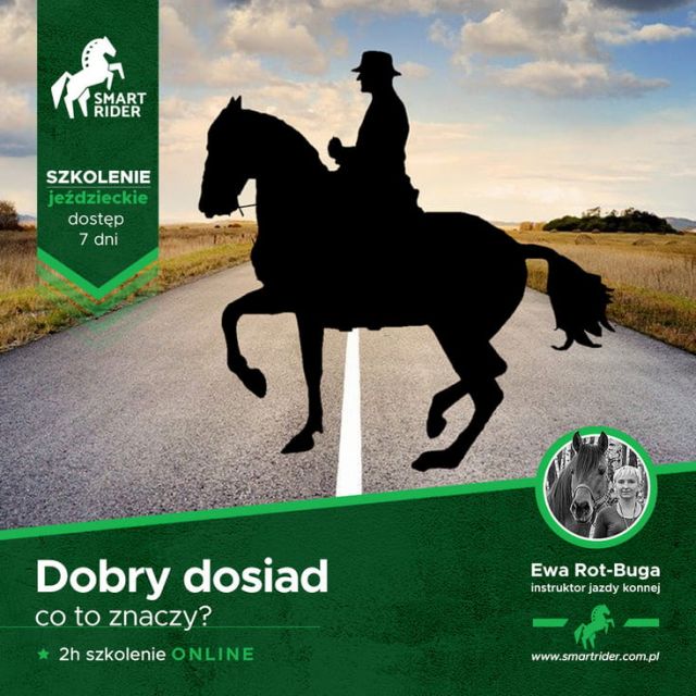 dobry-dosiad_czym-jest_szkolenie jeździeckie.jpg
