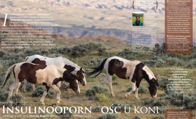 Insulinooporność u koni