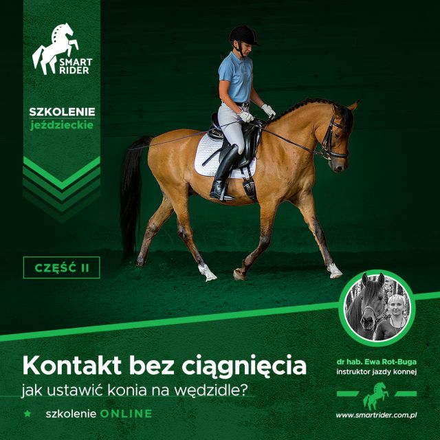 Szkolenie jeździeckie. Kontakt bez ciągnięcia - jak ustawić konia na wędzidle