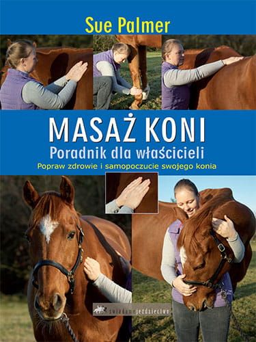Sue Palmer, Masaż koni.jpg