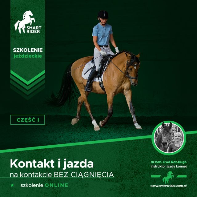 Szkolenie jeździeckie - jazda na kontakcie bez ciągnięcia
