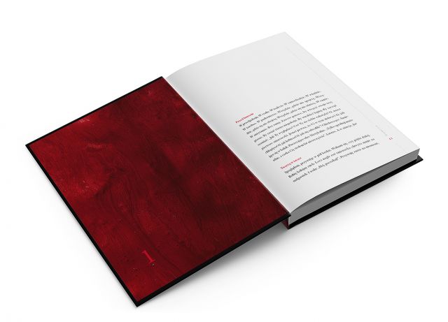 Książka Ewa Rot-Buga W odbiciach rozkładówka tekst
