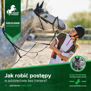 jak robić postępy jeżdżąc konno bez trenera